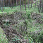 image027
