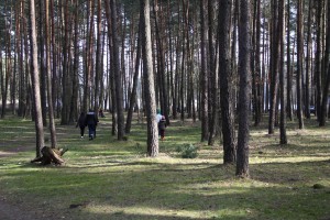 IMG_0431