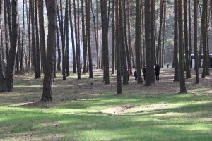 IMG_0435